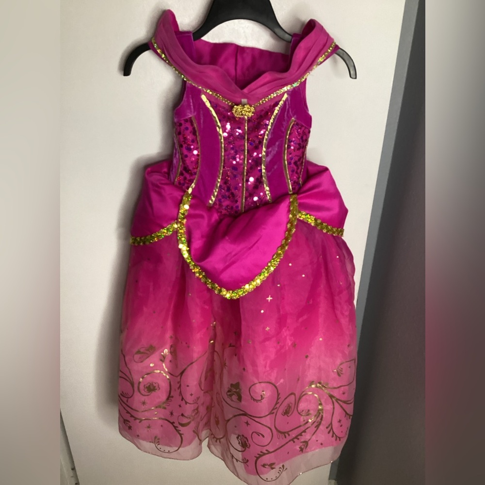 Disney Pink and Gold Princess Dress